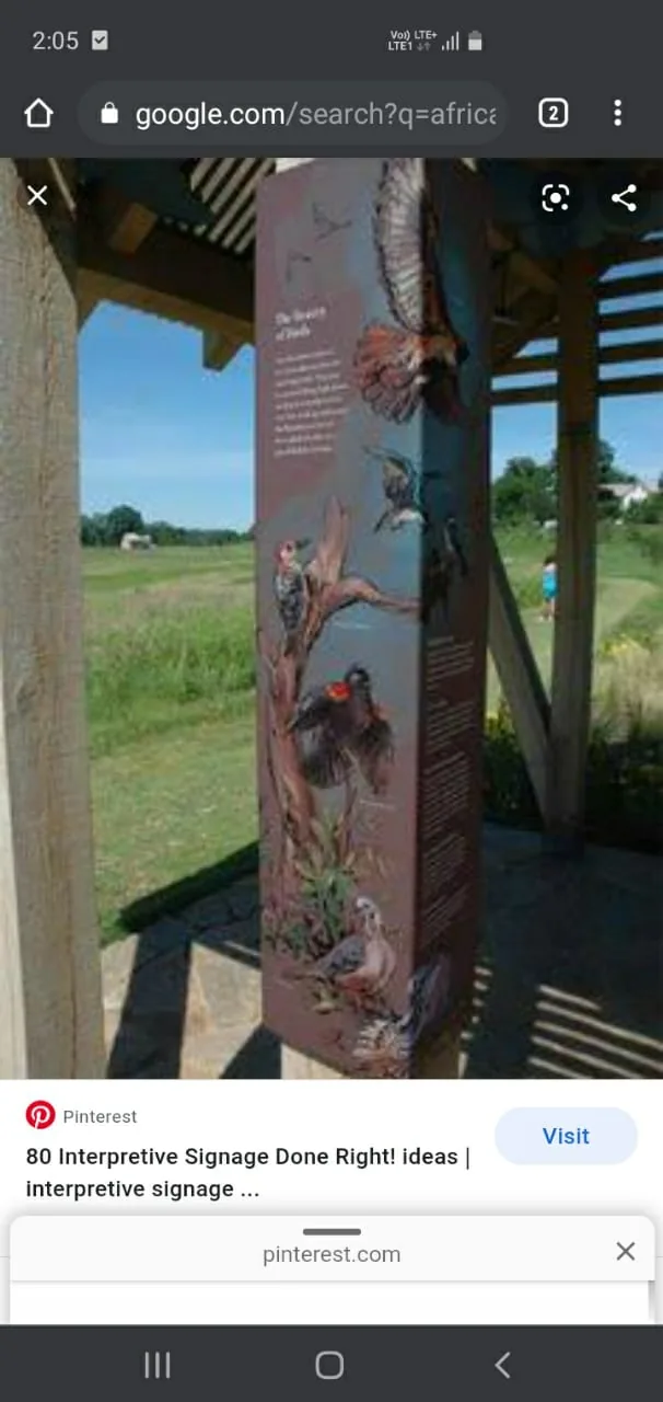 ACP artwork