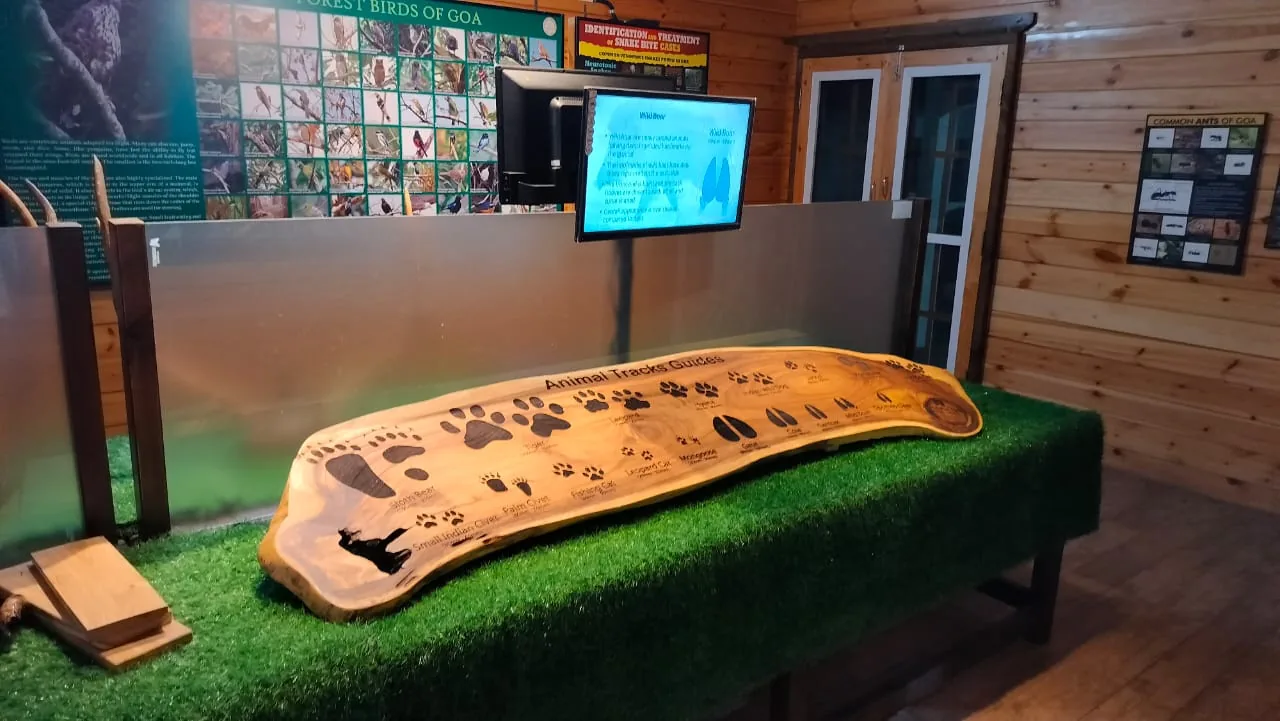 Animal Track Guide