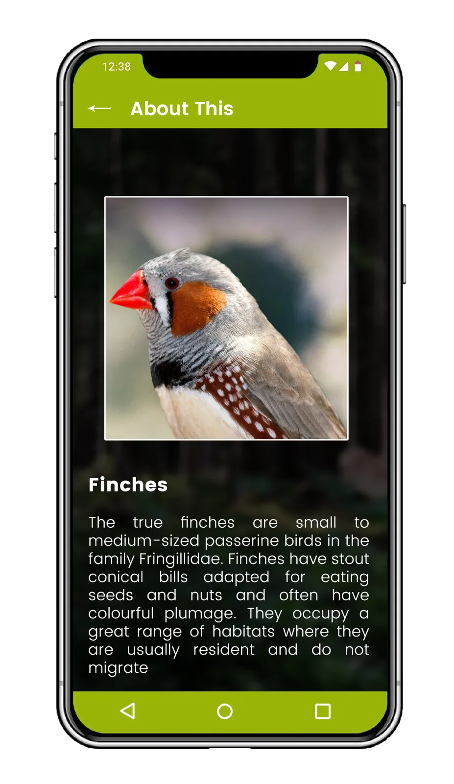 Species content
