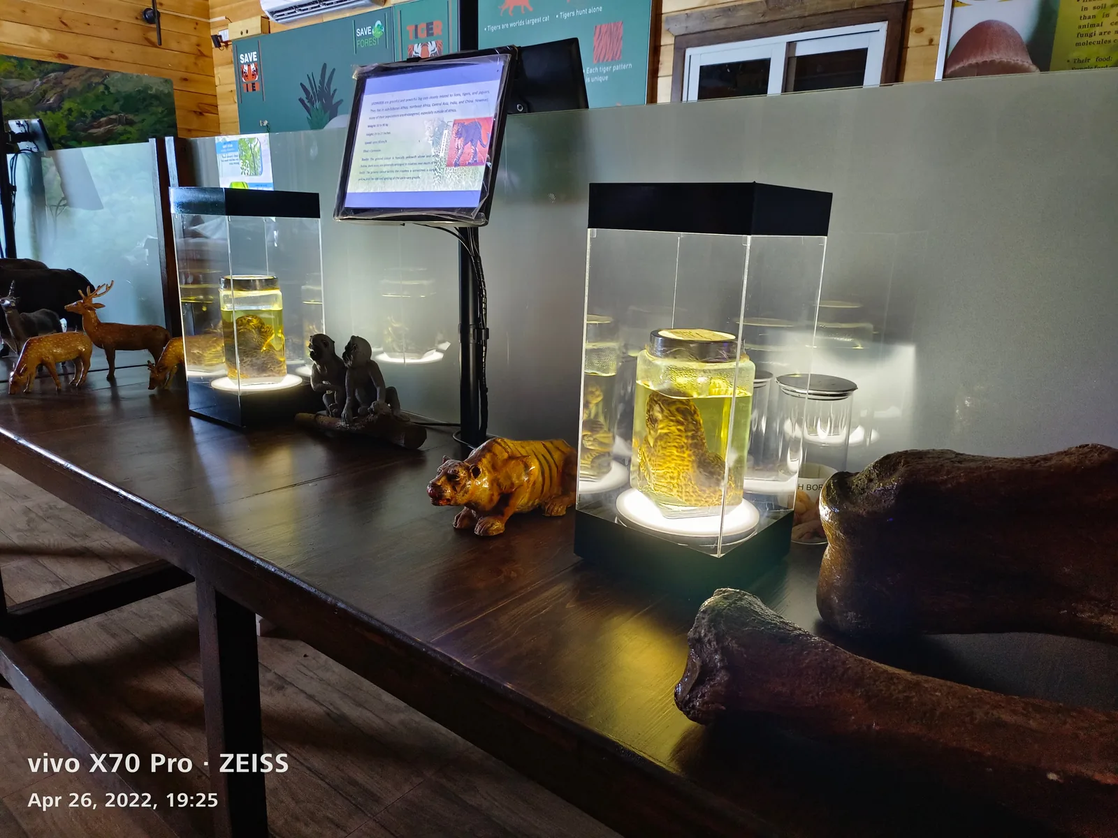 Artifacts lighting