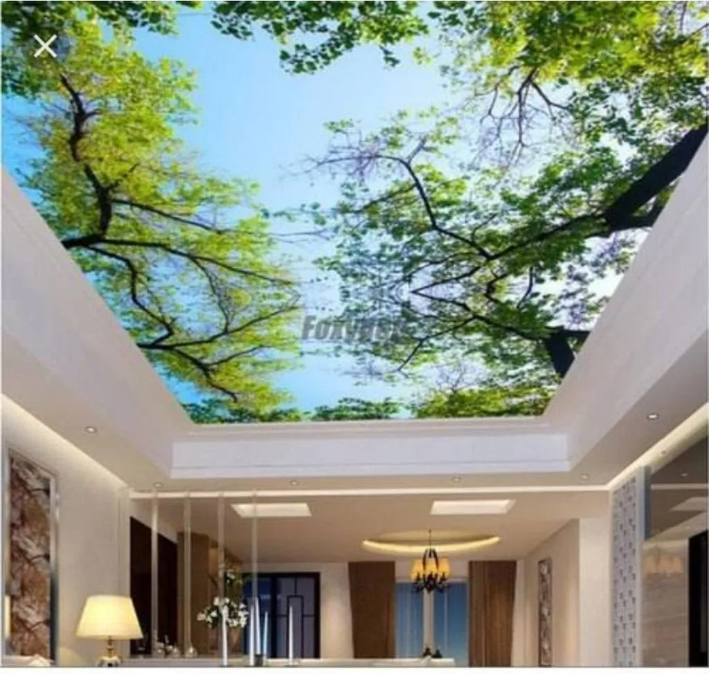 Canopy fabric ceiling