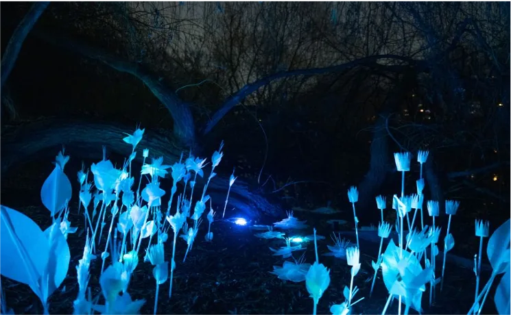 Glow garden