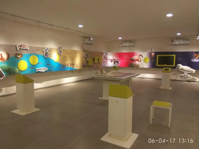 Indoor theme gallery