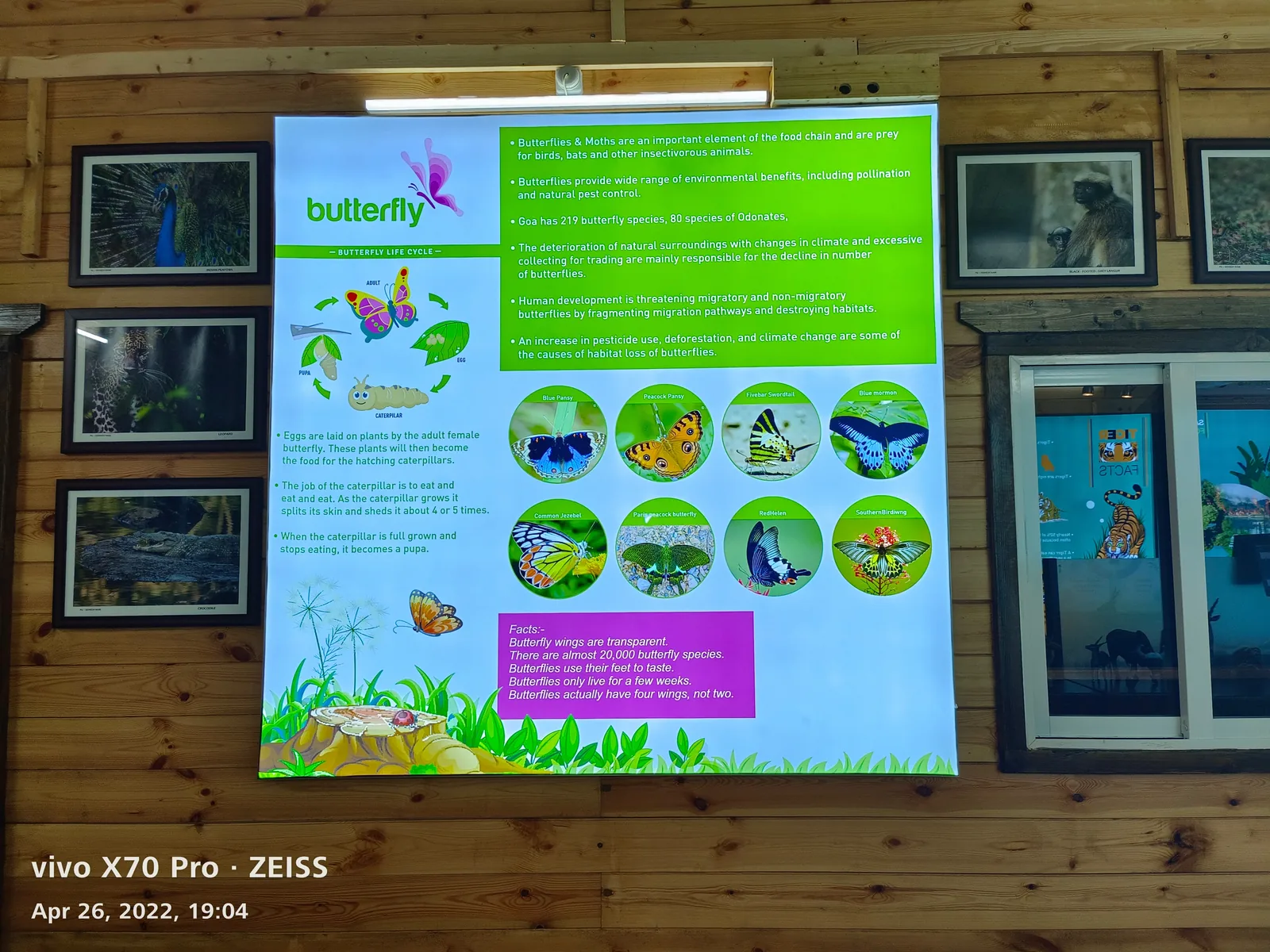Printed-fabric LED panels