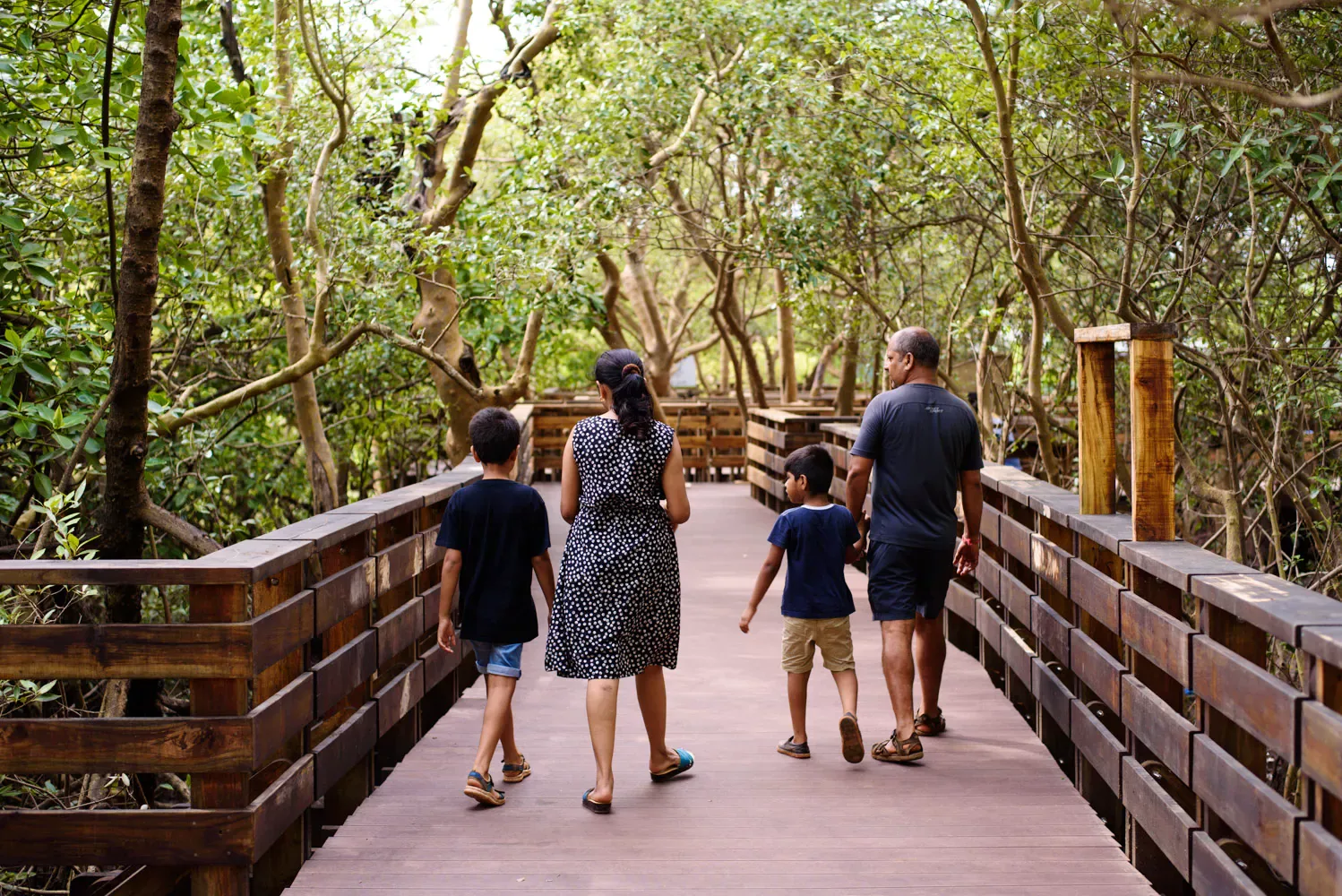 Wooden walkway