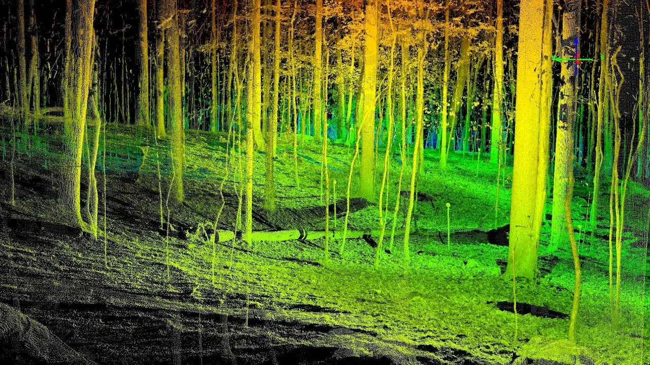 LiDAR forest returns